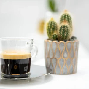 untitled shoot-6254.jpg